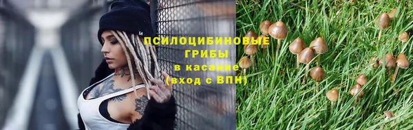 кокс Пересвет